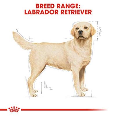 Royal Canin Adult Labrador Retriever hondenvoer 3 kg