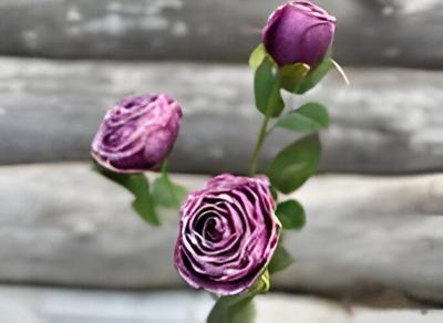 Roze 3 knoopjes violet Buitengewoon de Boet - Buitengewoon de boet