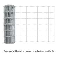 VidaXL Euro hek 0,6 x 10 m pvc-gecoat ijzer - thumbnail