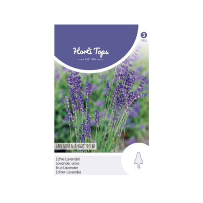 Zaden Lavendel - Lavandula Officinalis Hortitops - Hortitops