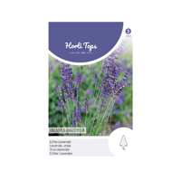Zaden Lavendel - Lavandula Officinalis Hortitops - Hortitops - thumbnail