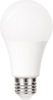 Ledlamp Integral E27 5000K koel wit 4.8W 470lumen dag/nacht sensor