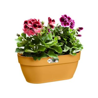 Elho Vibia Campana wall basket wandbak 35 cm honinggeel - thumbnail