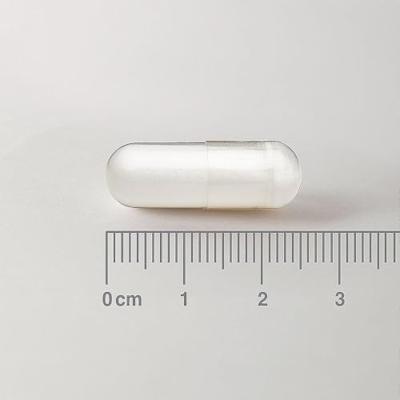 L-Ornithine HCl 500 mg