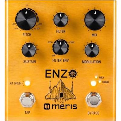 Meris Enzo Multi-Voice Instrument Synthesizer effectpedaal