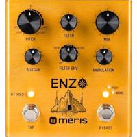 Meris Enzo Multi-Voice Instrument Synthesizer effectpedaal - thumbnail