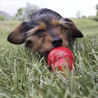 Spuitbus Kong voor de hond Peanut Butter