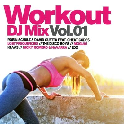 Workout DJ Mix Vol.1 - CD (4032989513376)