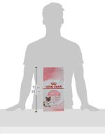Royal Canin mother & babycat katten en kitten voer 2kg zak - thumbnail
