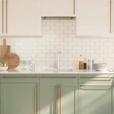 VidaXL Handvatten 20 st 480 mm roestvrij staal bronskleurig
