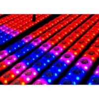 BeamZ LCB14 Hybride 14x 3W WW + RGB LED bar - thumbnail