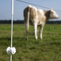 Gallagher Schroefisolator Wit voor paal ø 6-14mm (10) - 010943 010943 - thumbnail