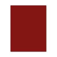 Fiches Iris Kastanjebruin 50 x 65 cm - thumbnail