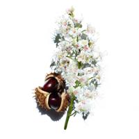 Clarins Nutri-Lumiere Nuit Revitalizing Night Cream 50ml Nacht crème - thumbnail