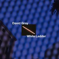 White Ladder - CD (5056167117926) - thumbnail