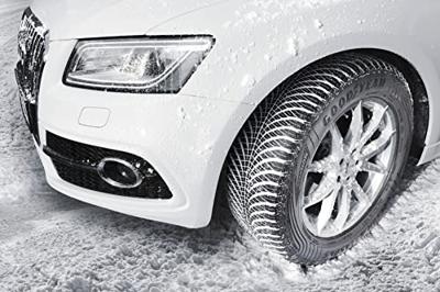 Vector 4 Seasons Gen2 AO 3PMSF