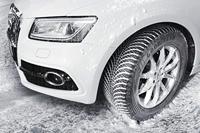 Vector 4 Seasons Gen2 AO 3PMSF - thumbnail