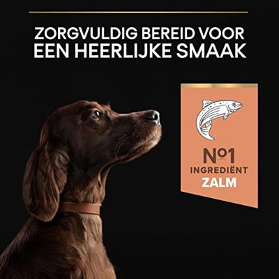 Pro Plan Large Athletic Adult Sensitive Skin met zalm hondenvoer 14 kg