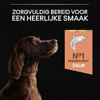 PURINA Sensitive Skin Large Athletic Adult Zalm - droog hondenvoer - 14 kg - thumbnail
