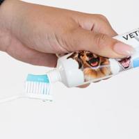 VETOCANIS DENTAL HYGIËNE KIT HOND PLAK VECHTER - thumbnail