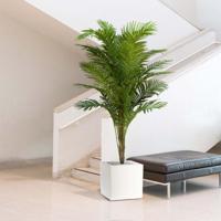Paradize kunstpalm Promo 180cm - thumbnail
