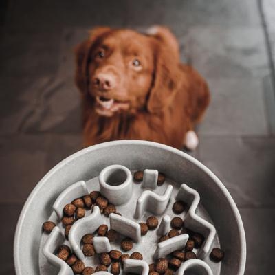 District 70 Bamboo slowfeeder donkergrijs voor de hond 21 cm