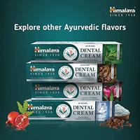 Himalaya Dental cream clove 100 Milliliter - thumbnail