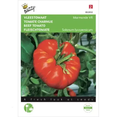 Zaden Vleestomaat Marmande VR Buzzy - Buzzy