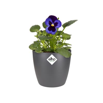 Elho pot brussels rond d10.5cm antraciet
