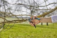 GARDENA Snoeischaar ExpertCut - thumbnail