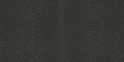 Dutch Wallcoverings Roberto Cavalli 9 - Panter - Zwart