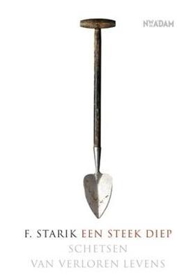 Een steek diep - F. Starik - eBook (9789046811405)