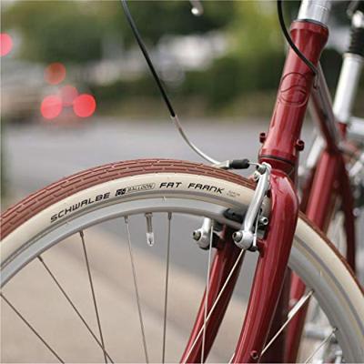 Schwalbe buitenband Fat Frank 26 x 2.35 (60 559) bruin