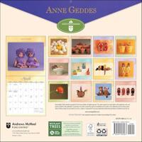 Anne Geddes Kalender 2026 - thumbnail