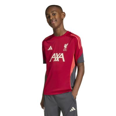 adidas Liverpool Trainingsshirt 2025-2026 Kids Rood Grijs adidas Liverpool Trainingsshirt 2025-2026 Kids Rood Grijs