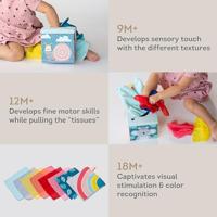 Kimmy koala wonder tissue box - thumbnail