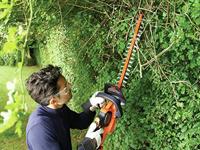 BLACK+DECKER GTC18502PC 18V 2.0Ah 50cm PC Heggenschaar - GTC18502PC-QW - thumbnail