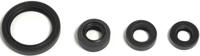 ATHENA Motorshield yz 450,06-10,wrf 04-10 - thumbnail