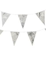 HEMA Vlaggenlijn 10m zilver (zilver) - thumbnail