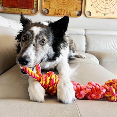 Kong Rope Bunji Assorti