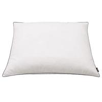 VidaXL Kussens 2 st zwaar 70x60 cm dons-/verenvulling wit - thumbnail