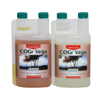 Canna Canna COGr Vega