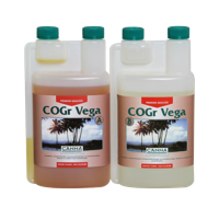 Canna Canna COGr Vega - thumbnail