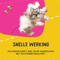 Dog Flex - thumbnail