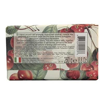 Nesti Dante il frutteto black cherry & red berries zeep 250gr.