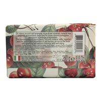 Nesti Dante il frutteto black cherry & red berries zeep 250gr. - thumbnail