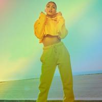 LogiLink AA0156 lichtring 95 LED - thumbnail