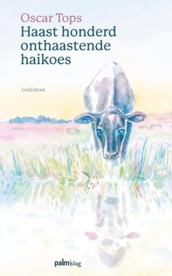 Haast honderd onthaastende haikoes (Paperback) Haast honderd onthaastende haikoes (Paperback)