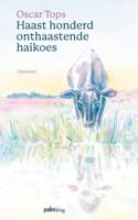 Haast honderd onthaastende haikoes (Paperback) - thumbnail