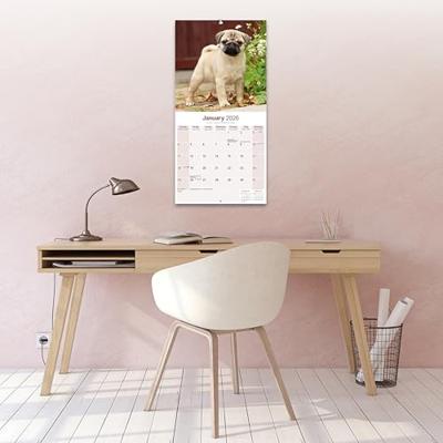 Mopshond Kalender 2026 Mopshond Kalender 2026